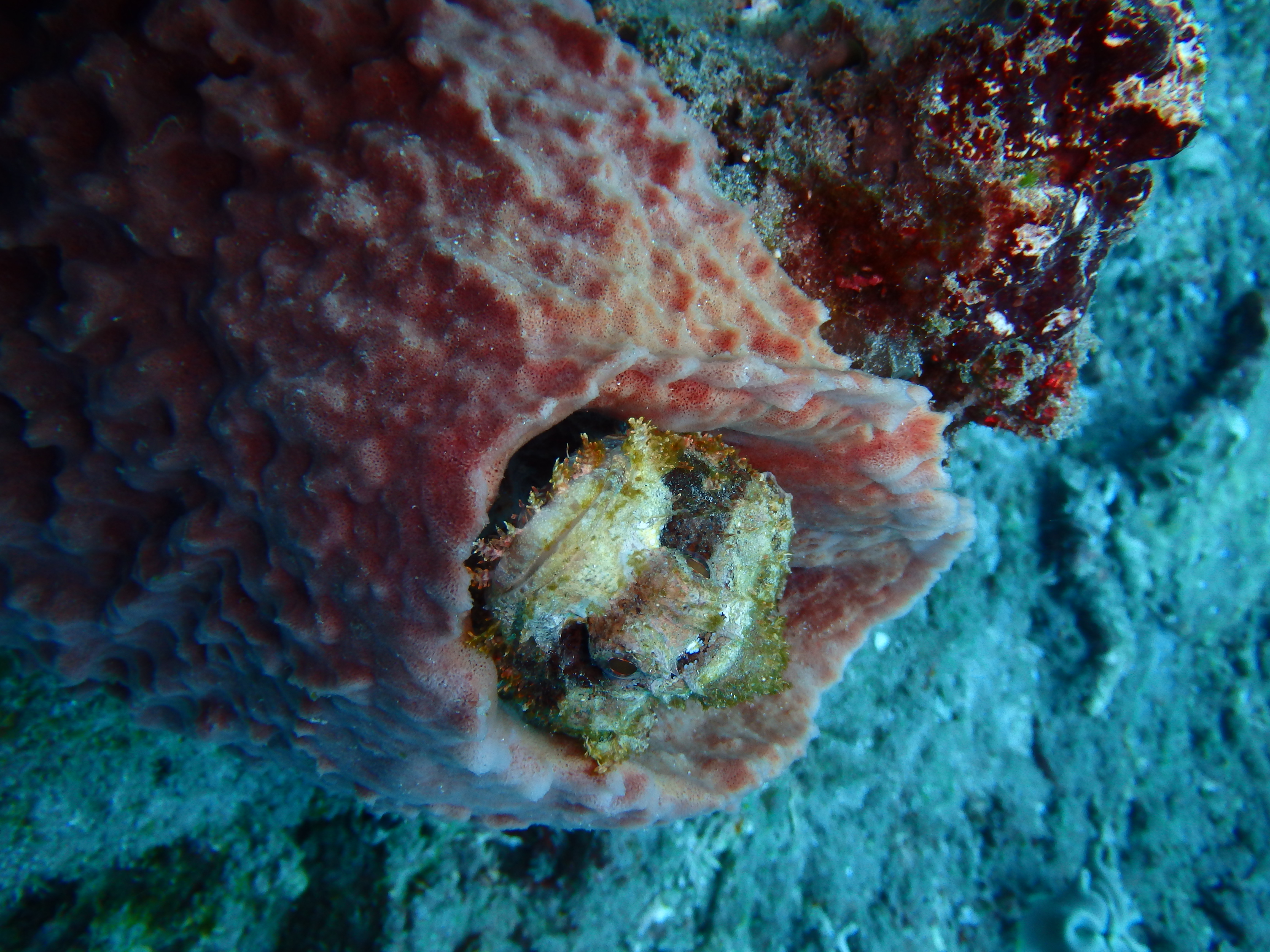Sanur Channel